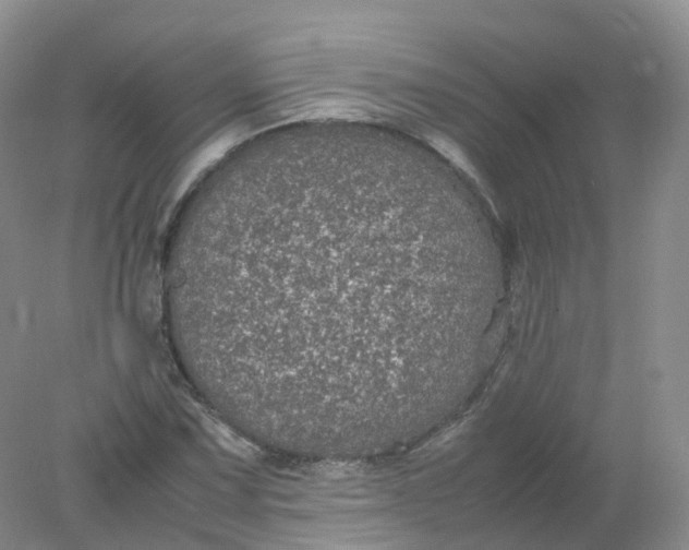 X0000078021067200611101841