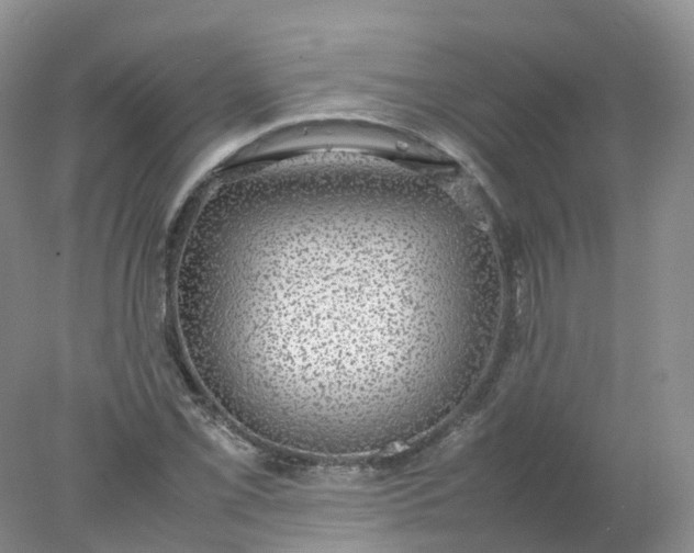 X0000078021069200611101841