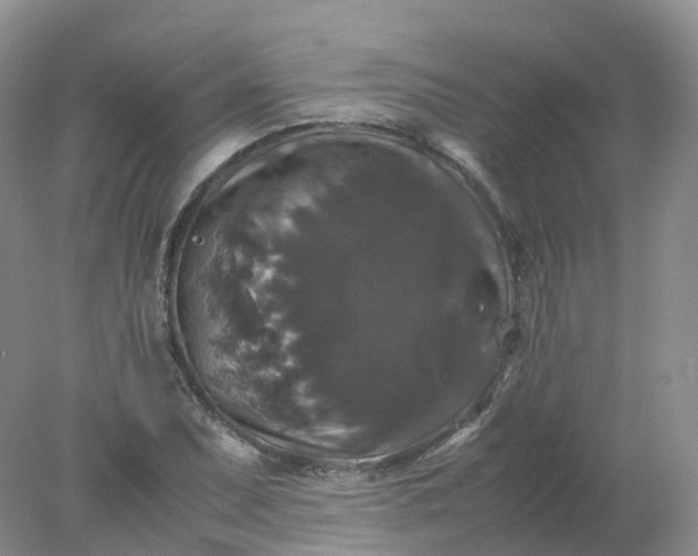 X0000078021071200611101841