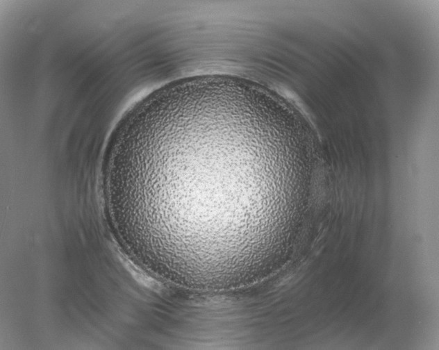 X0000078021072200611101841