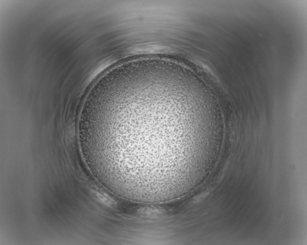 X0000078021073200611101841