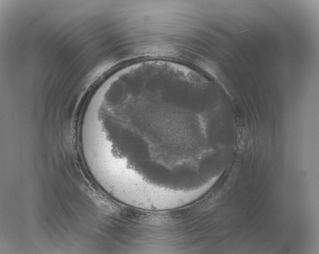 X0000078021074200611101841