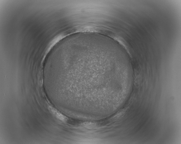 X0000078021075200611101841