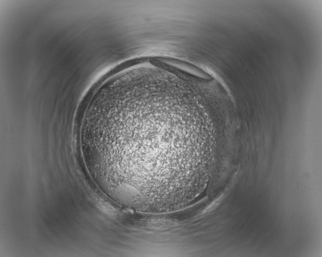 X0000078021077200611101841