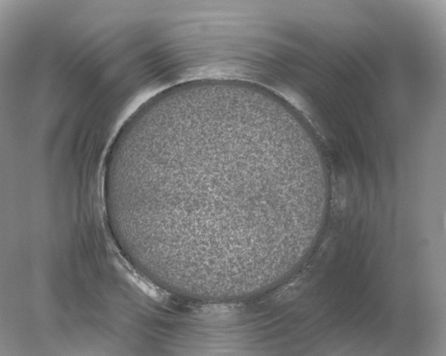 X0000078021078200611101841