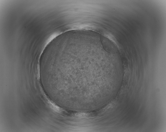 X0000078021079200611101841