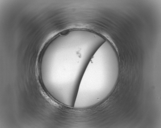 X0000078021080200611101841