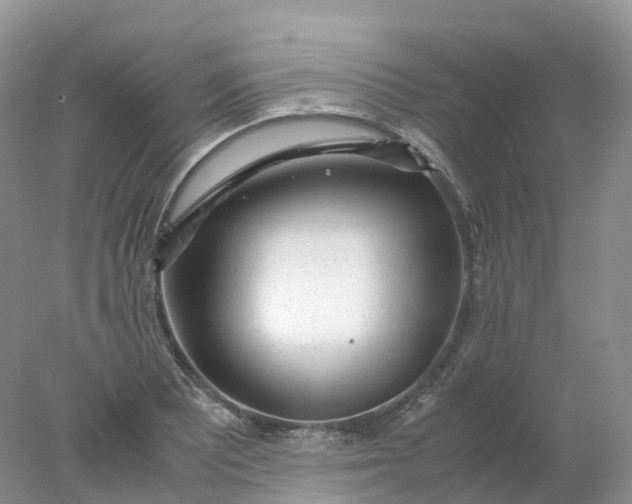 X0000078021081200611101841