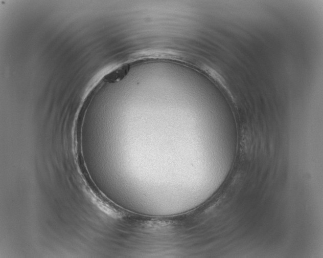 X0000078021082200611101840