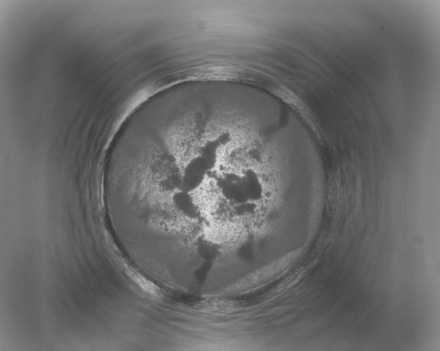 X0000078021083200611101840