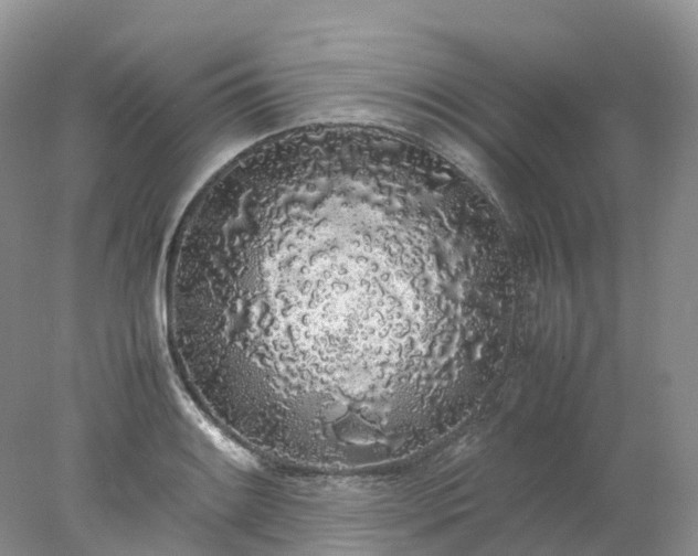 X0000078021084200611101840