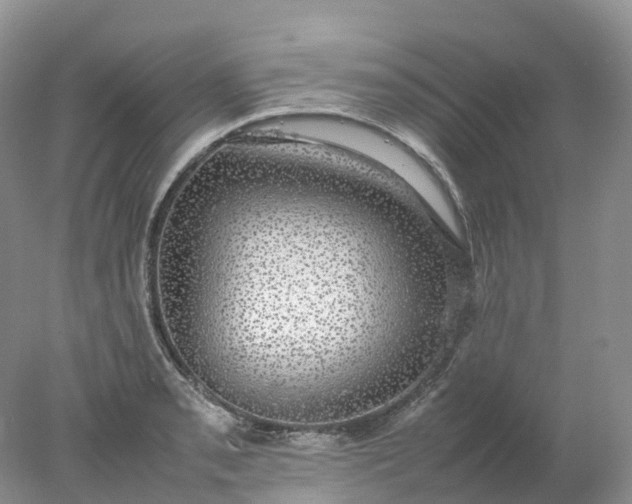 X0000078021085200611101840