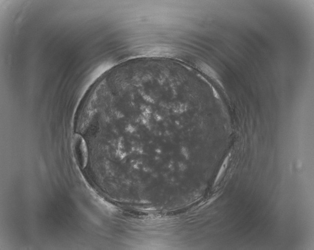 X0000078021087200611101840