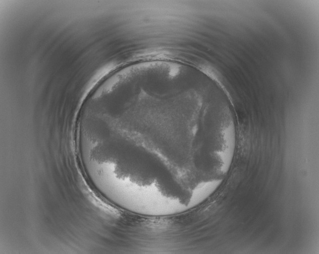 X0000078021090200611101840