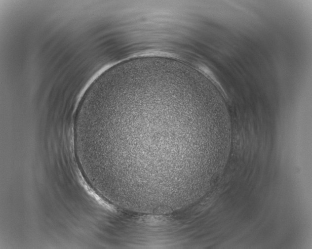 X0000078021092200611101840