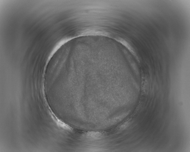 X0000078021094200611101840