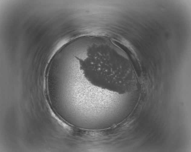 X0000078021095200611101840