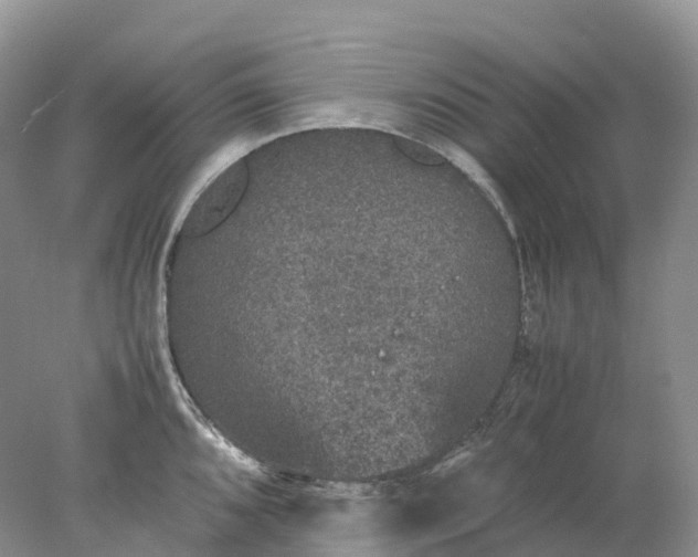 X0000078021096200611101840