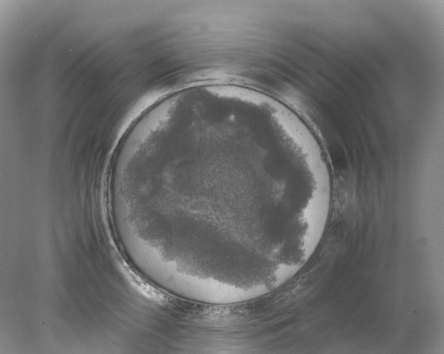 X0000078021098200611101840