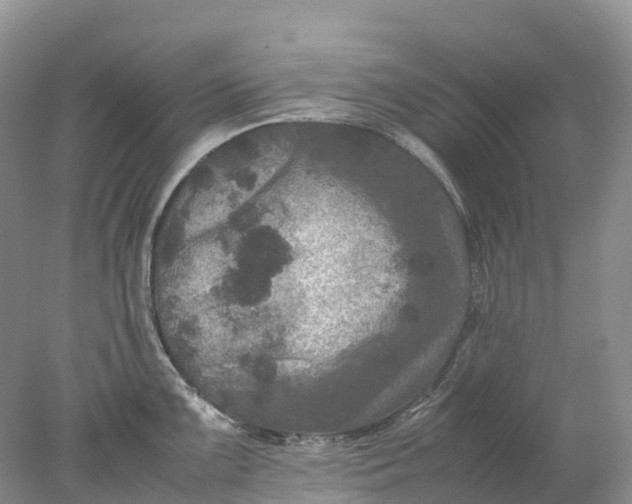 X0000078021099200611101840