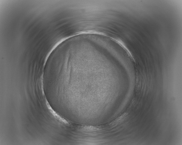 X0000078021100200611101840