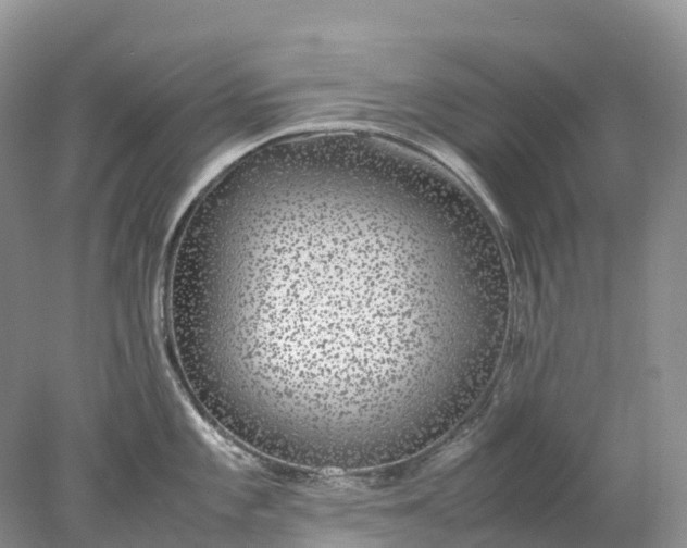 X0000078021101200611101840