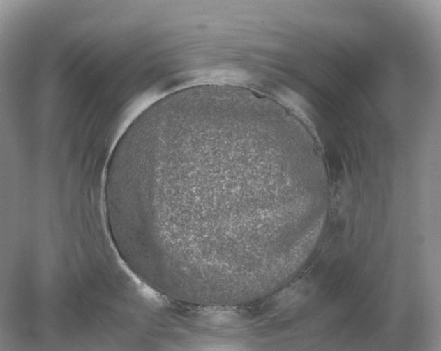 X0000078021103200611101840