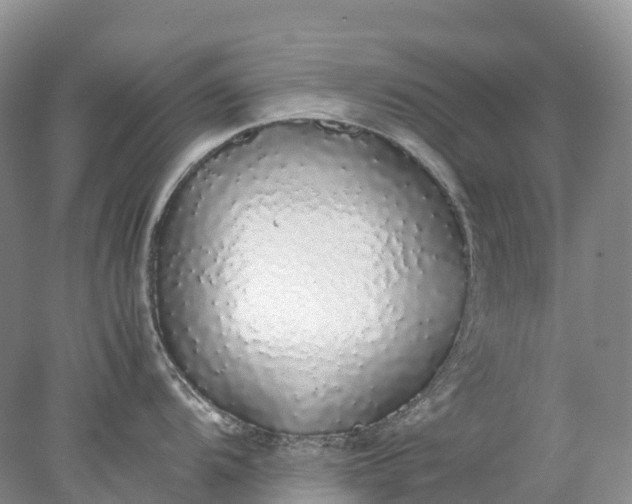 X0000078021104200611101840