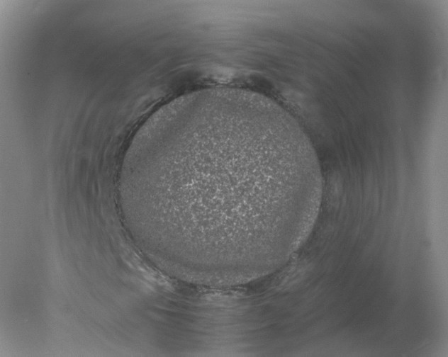 X0000078021105200611101839