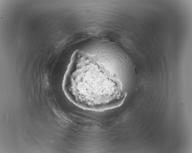 X0000078021106200611101839