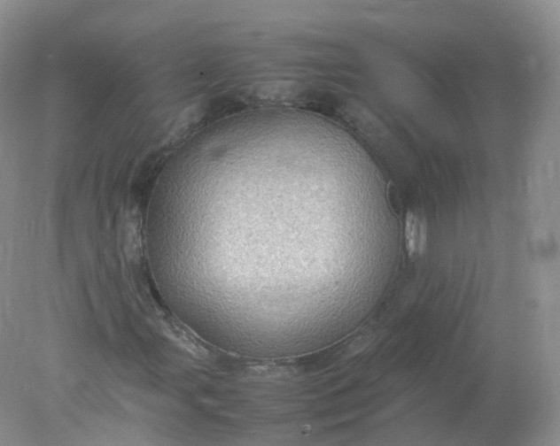 X0000078021107200611101839