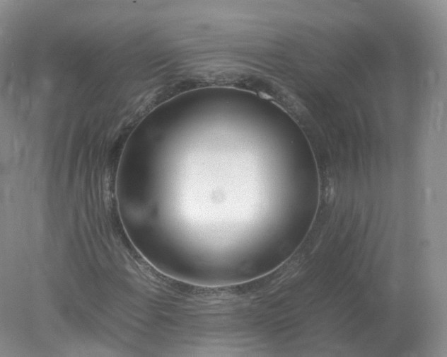 X0000078021108200611101839