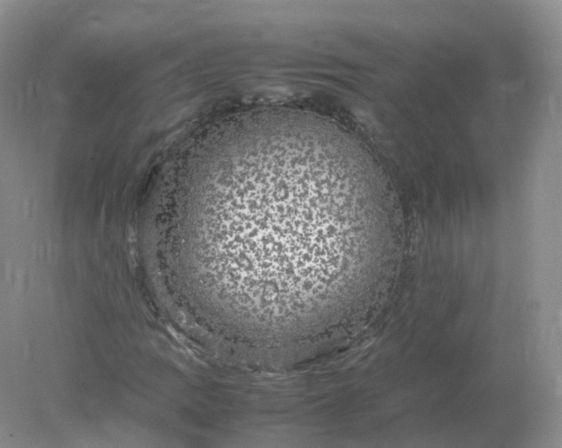 X0000078021109200611101839