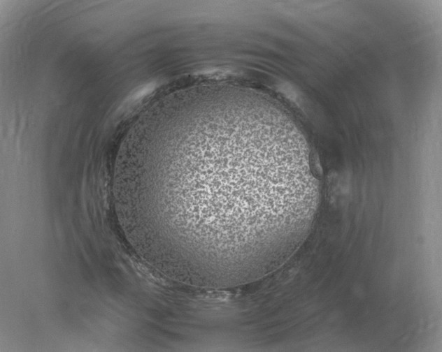 X0000078021111200611101839