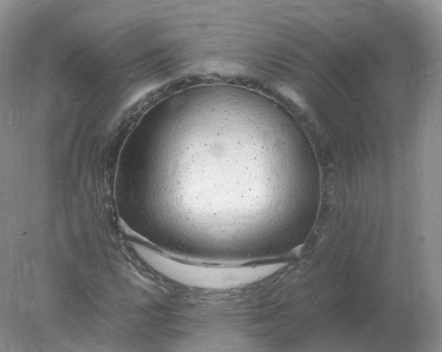 X0000078021112200611101839