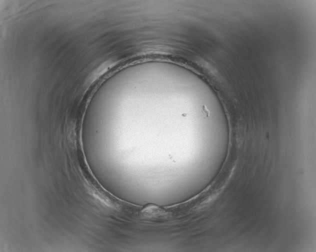 X0000078021113200611101839