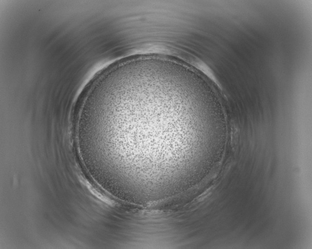 X0000078021116200611101839