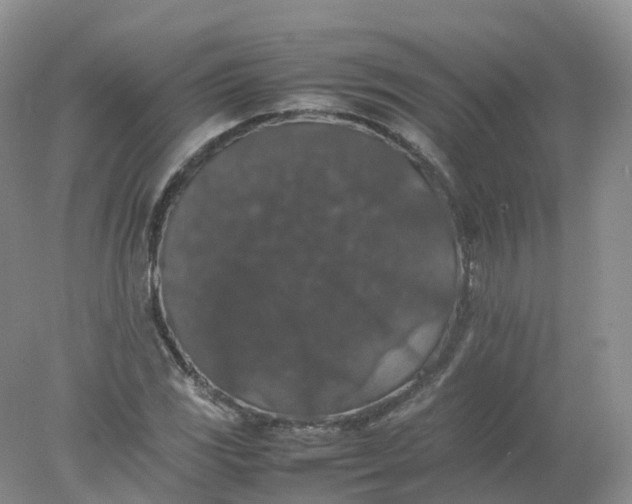 X0000078021117200611101840