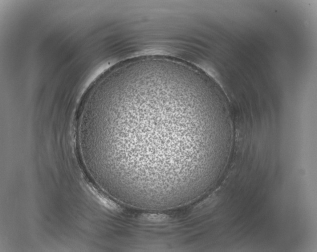 X0000078021119200611101840