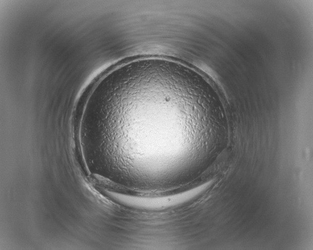 X0000078021120200611101840