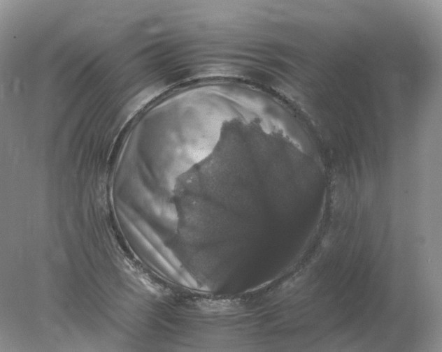 X0000078021121200611101840