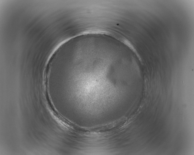 X0000078021124200611101840