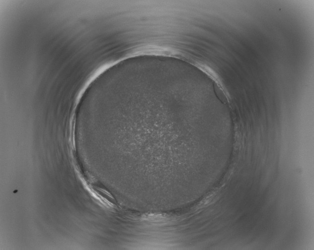 X0000078021128200611101840