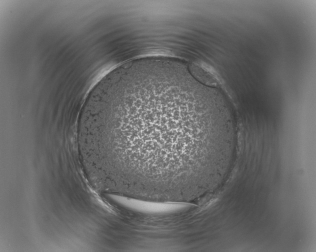 X0000078021129200611101840