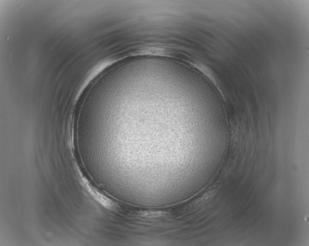 X0000078021131200611101840