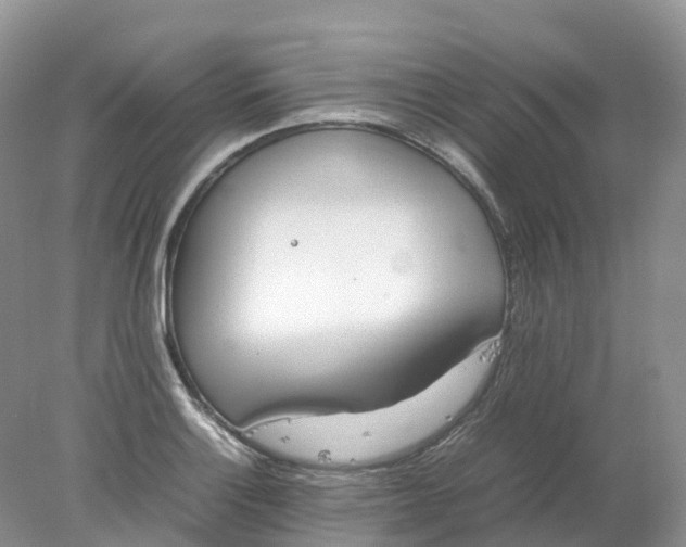 X0000078021132200611101840