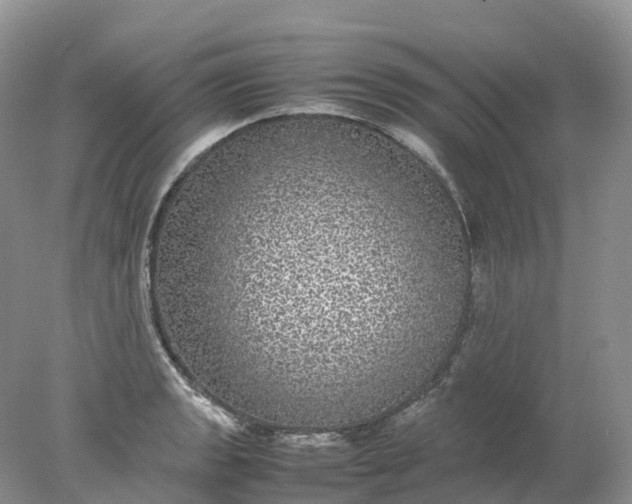 X0000078021133200611101840