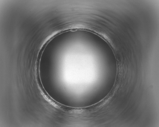 X0000078021134200611101840