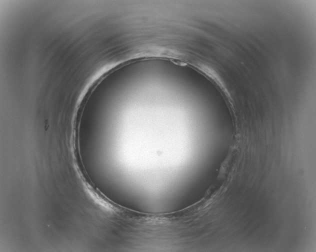 X0000078021136200611101840