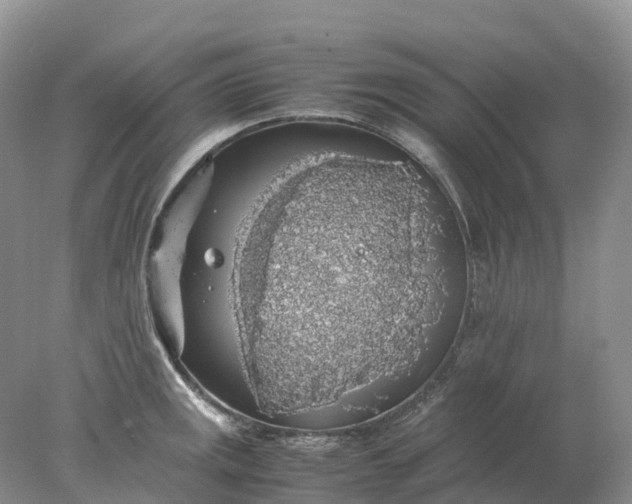 X0000078021141200611101840